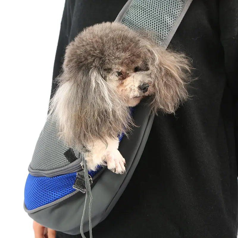Gray and blue breathable mesh pet carrier backpack with adjustable shoulder strap shown from the back side.