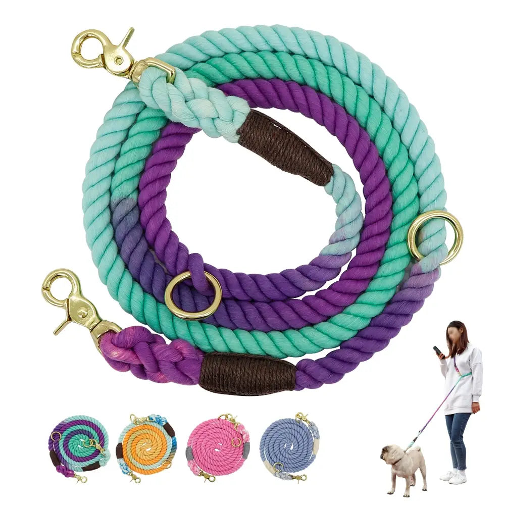 Coiled gradient dog leash braided rope training lead in teal and purple with brass hardware and brown woven grip sections.