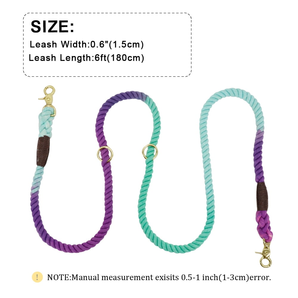 A vibrant gradient dog leash braided rope training lead featuring teal to purple braided rope with brown leather accents and gold-toned metal hardware.