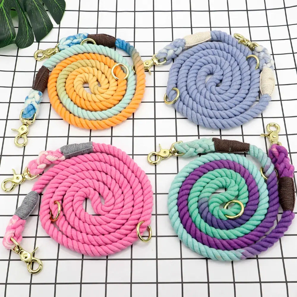 Gradient dog leash braided rope training lead with colorful braided rope shoulder straps featuring gold-tone metal clasps and fabric-wrapped handles.