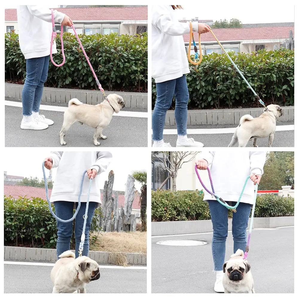 Gradient dog leash braided rope training lead with a sturdy woven design in pink yellow blue and purple colors.