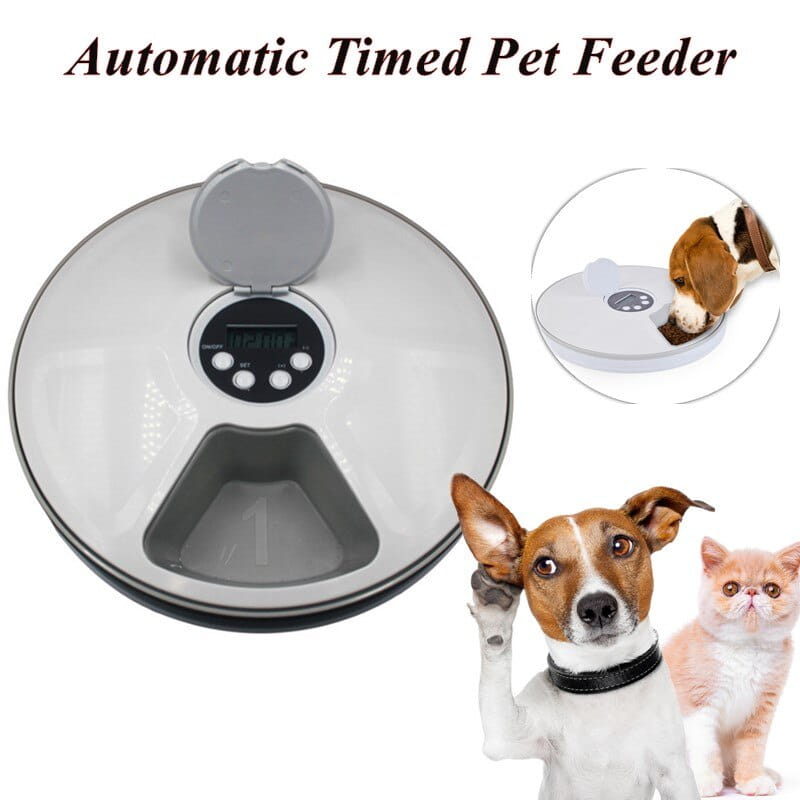 Automatic pet feeder for dogs and cats in silver and black with a hinged lid, digital display, and six meal timing dispenser.