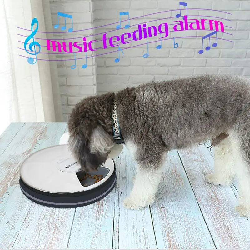 A sleek round automatic pet feeder with a white and black design featuring six meal timing dispenser for dogs and cats.