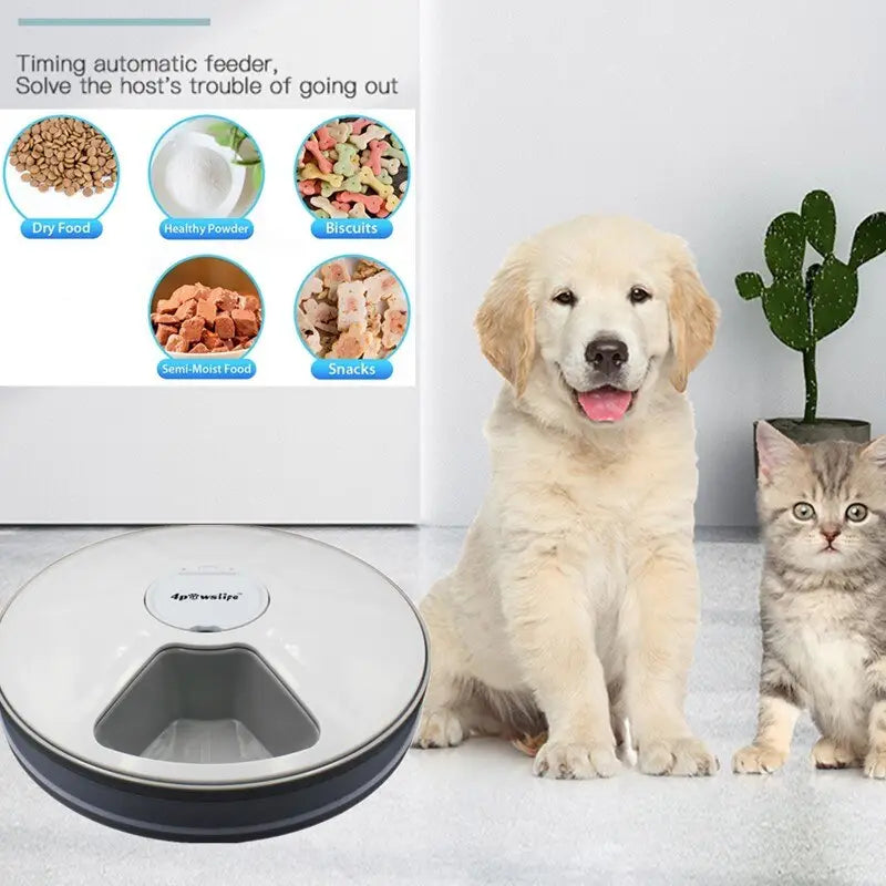 Silver and black circular automatic pet feeder with a central dispensing slot designed as a 6 meal timing dispenser for dogs and cats.