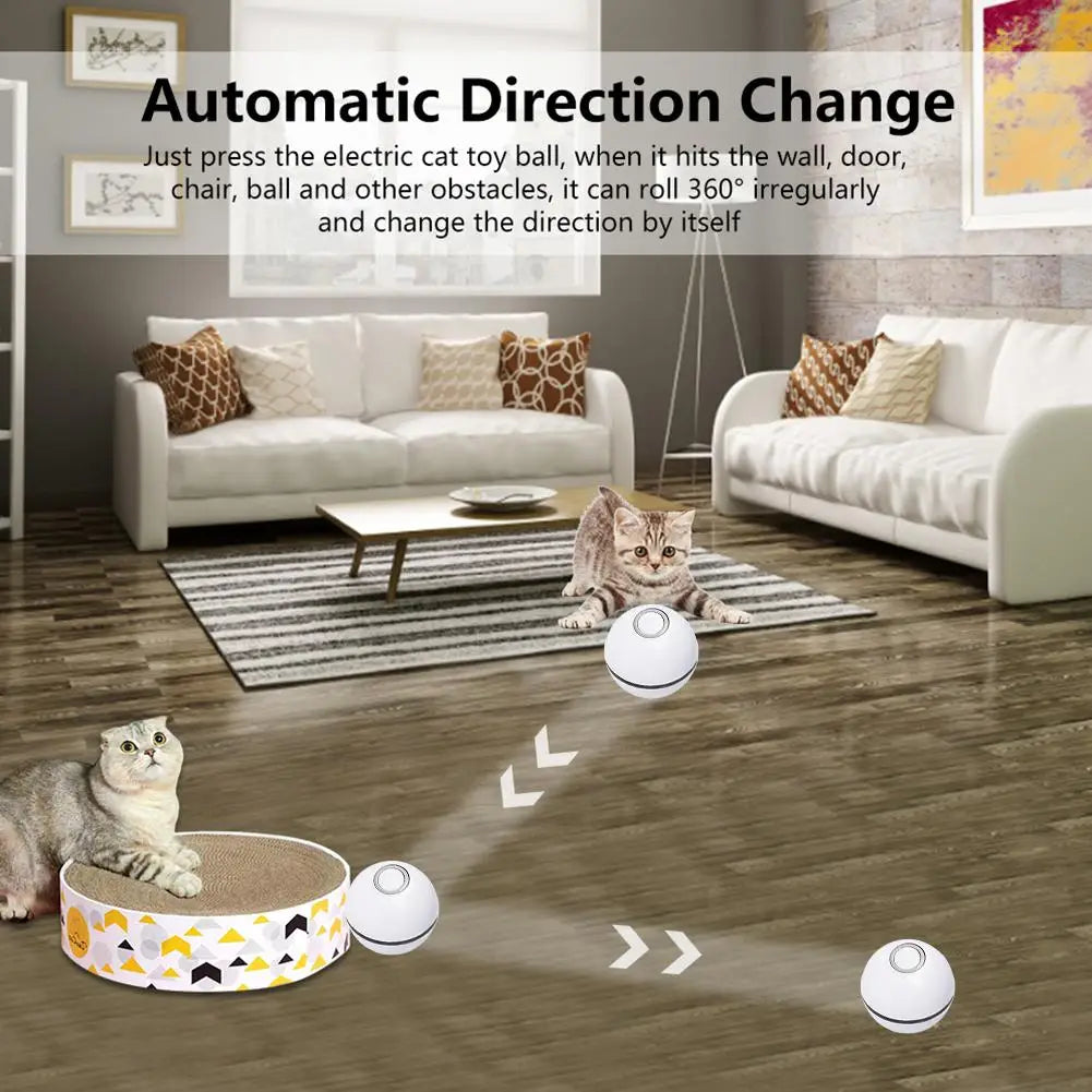 Interactive Led Cat Toy Ball with Catnip and Feathers
