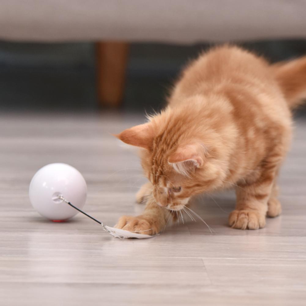 Interactive Led Cat Toy Ball with Catnip and Feathers