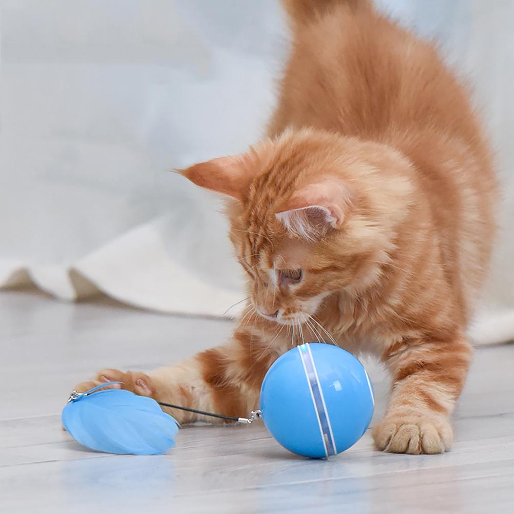 Interactive Led Cat Toy Ball with Catnip and Feathers