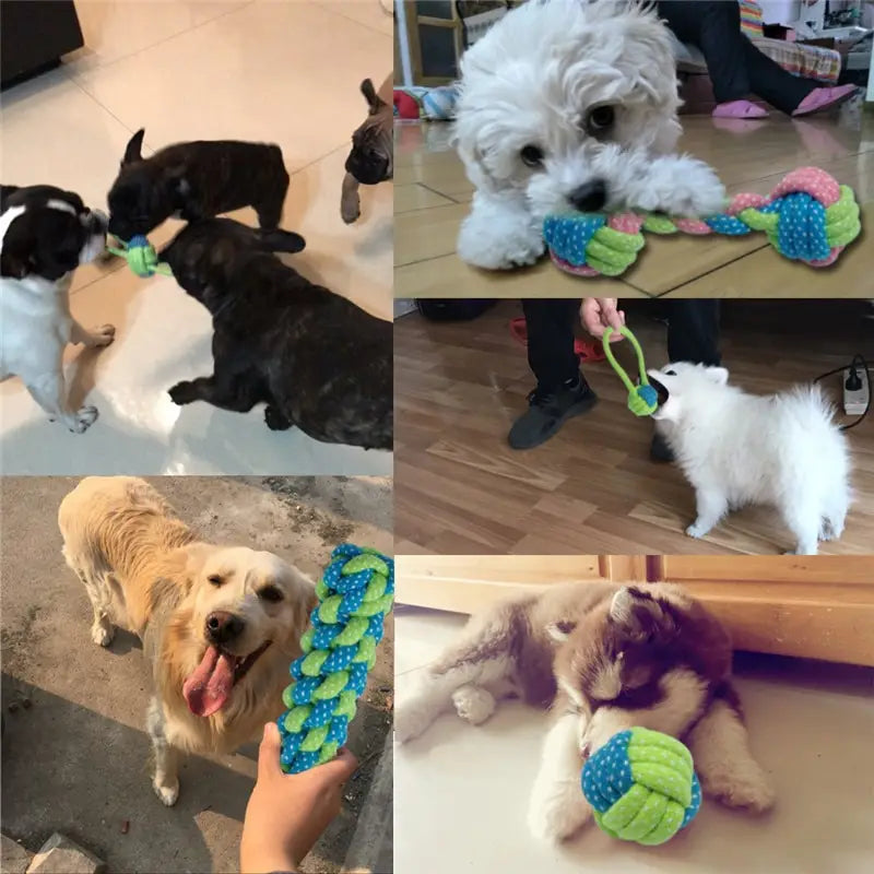 Brightly colored braided dog rope toy with blue and green polka dot sections designed for small and medium dogs available in seven variants.