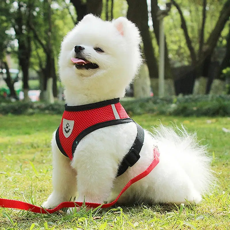 赤いメッシュの反射犬用ハーネスで、黒いストラップと、胸元に取り付けられた銀色の肉球プリントのエンブレムが付いており、同系色の赤いリードが付属するリードセットです。