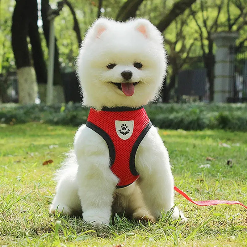 リード付きの反射メッシュ犬用ハーネスで、黒い縁取りの赤いメッシュハーネスと、白い肉球プリントのエンブレムを特徴とします。
