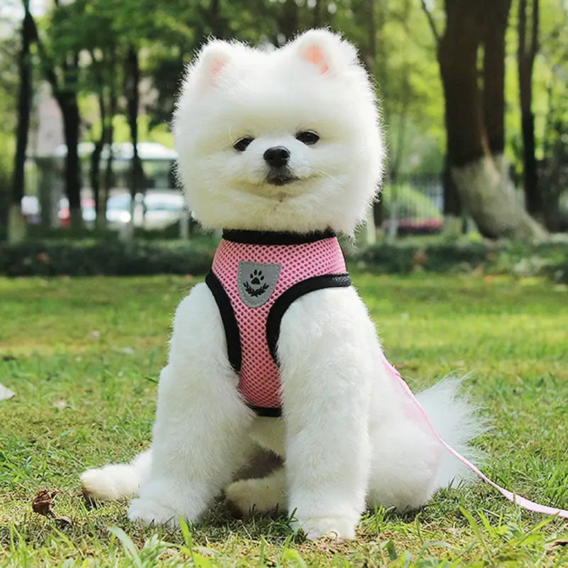 リード付きの反射メッシュ犬用ハーネスとして、黒い縁取りと反射する銀色の肉球プリントのエンブレムを備えたピンクのメッシュ犬用ハーネス(背面からの表示)。