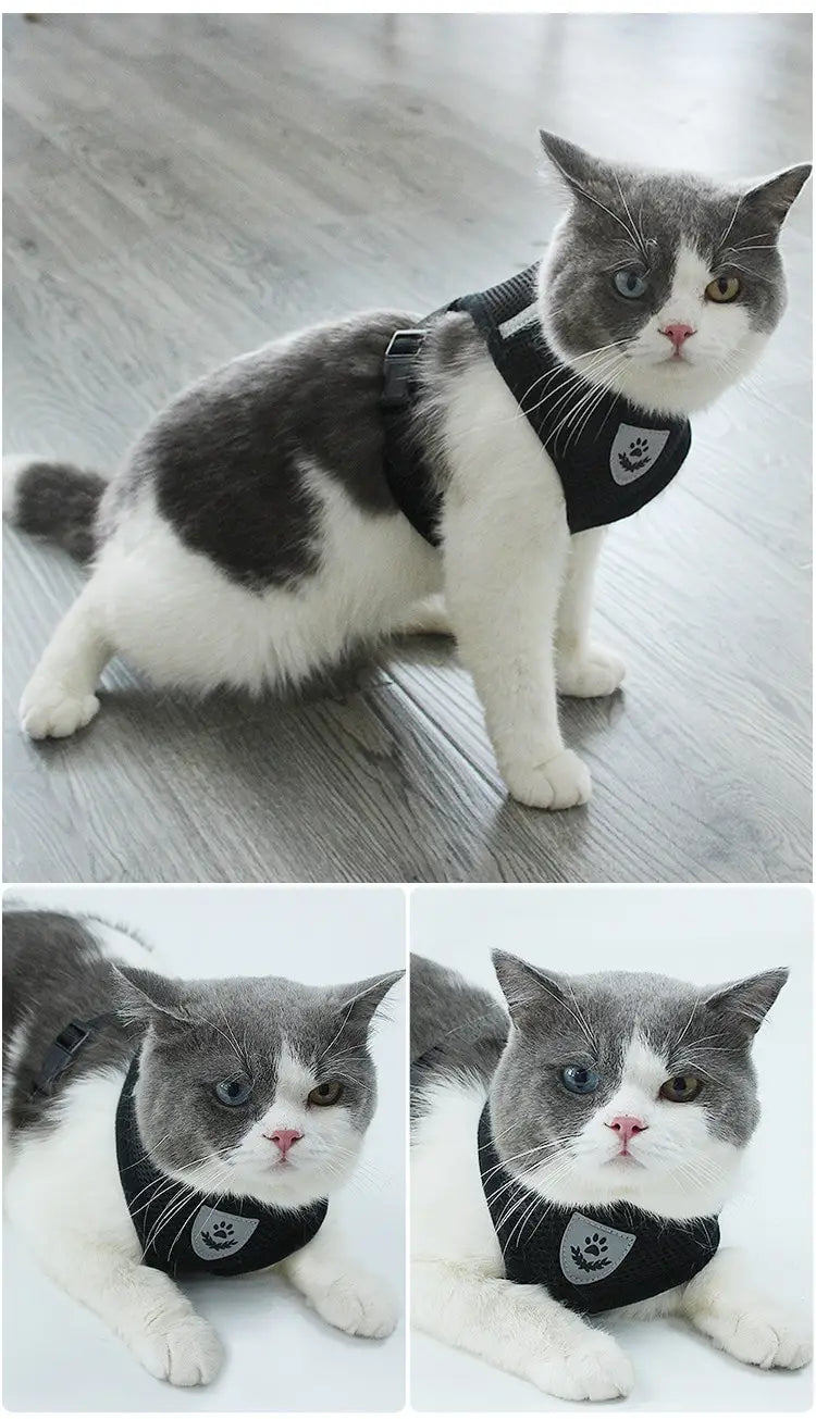 胸ストラップに肉球エンブレムが付いた、リード付きの黒い猫用反射メッシュ犬用ハーネス。