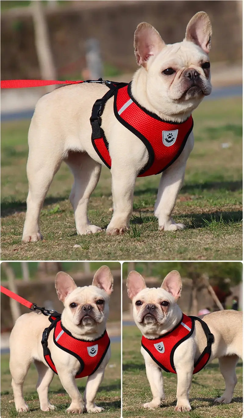 胸に白い肉球プリントのロゴがあり、付属のリードセットが含まれる、赤と黒の反射メッシュ犬用ハーネス。