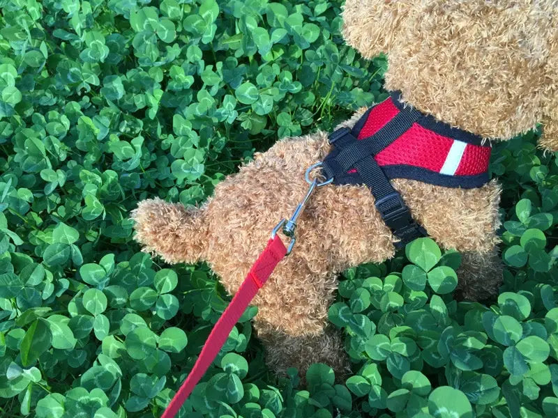 白いラインを備えた赤と黒の配色の反射メッシュ犬用ハーネスを着用し、同じ赤いリードが取り付けられた、もこもこの茶色のテディベア。