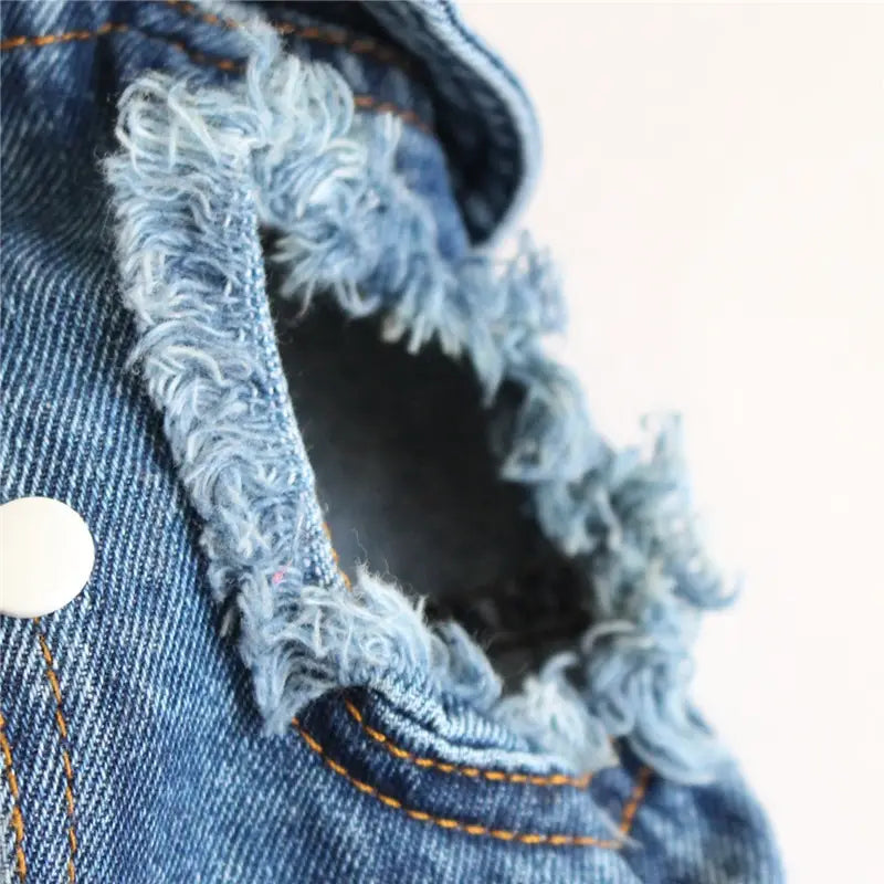 A frayed blue denim collar with orange stitching and a white button on a denim dog jacket with strawberry embroidery.