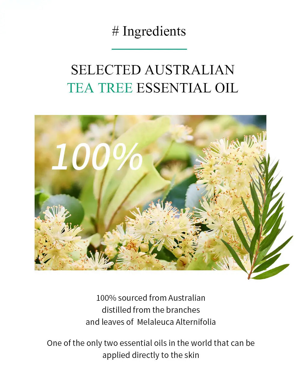 Tea tree acne treatment face and neck cream 20g featuring 100 percent Australian tea tree essential oil distilled from the branches and leaves of Melaleuca alternifolia in a white and green container.