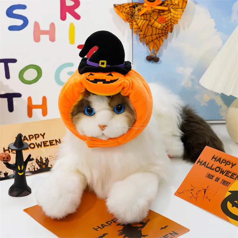Bonnet orange en peluche pour chien en forme de citrouille, avec un chapeau de sorcière noir sur le dessus, conçu pour un costume pour animal de compagnie destiné à Halloween.