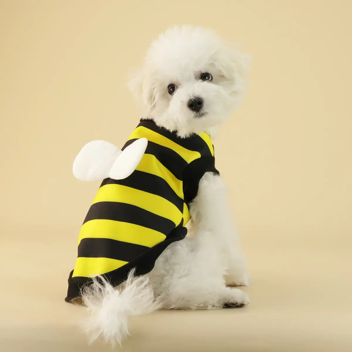 Chien duveteux blanc portant un costume d’abeille rayé noir et jaune, avec des ailes en peluche blanches, dans un pull pour chien Frog Dog en polaire avec capuche.