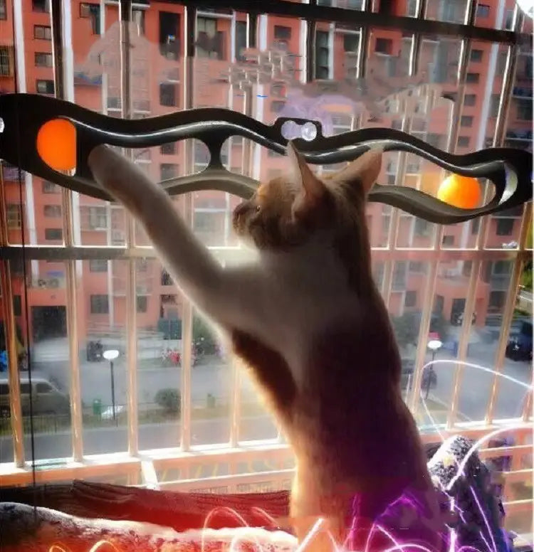 A sleek black cat track ball toy with suction cup featuring orange glowing orbs and white circular accents designed for interactive play.