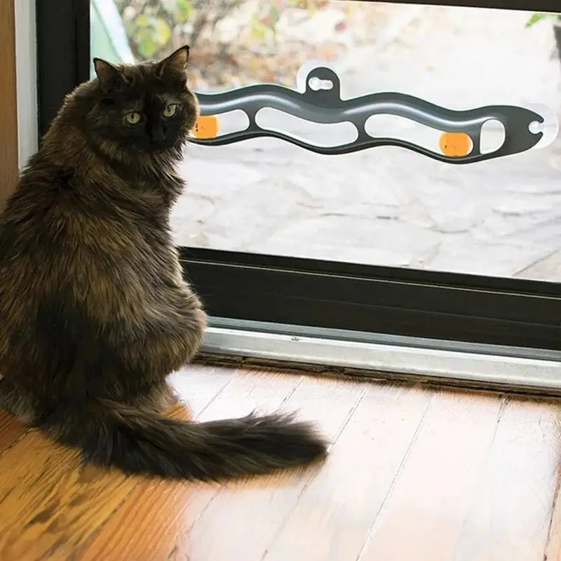 black and orange wavy cat track ball toy with white accents attached to a glass door by a suction cup for interactive play
