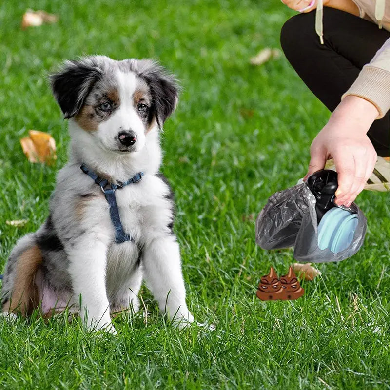 Blue silicone foldable dog poop bag dispenser with black plastic lid and clear plastic liner for waste scooper use.