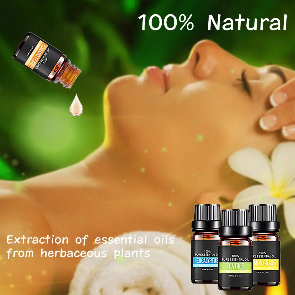 Schwarze Glasflasche mit Eukalyptus-Ätherischem-Öl, mit goldfarbenem Etikett und schwarzem Verschluss aus einem Bio-ätherische-Öle-Set (10 ml) für Aromatherapie.