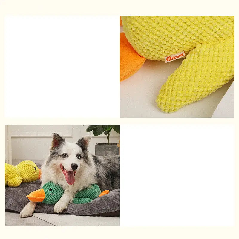 yellow textured plush duck dog toy with orange beak and feet featuring a hoopet brand tag, designed as a bite resistant molar chew toy.