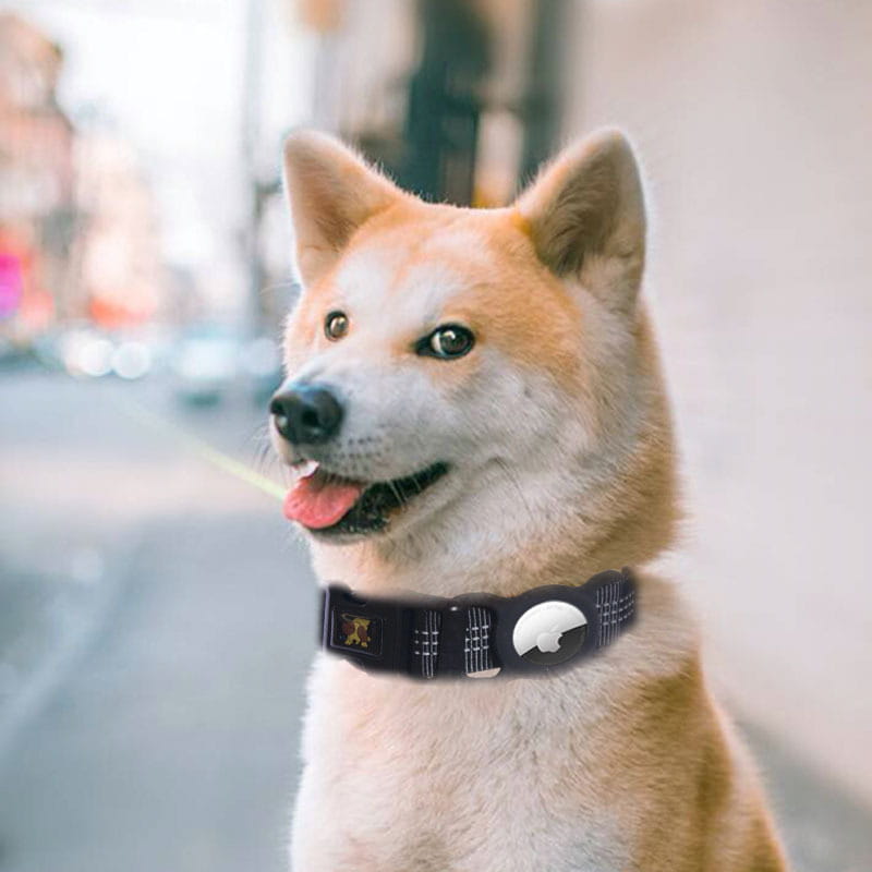 Schwarzes Hundehalsband mit silbernen Akzenten und einem runden weißen Emblem mit reflektierendem GPS-Design sowie einer Nylon-Trackerhalterung für erhöhte Sicherheit Ihres Haustiers.
