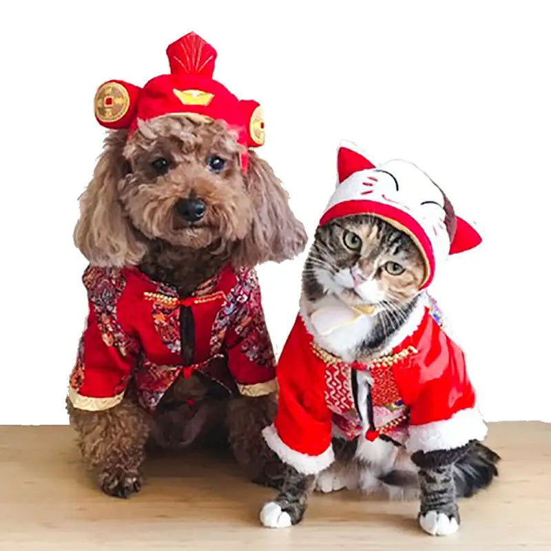a dog and cat wearing red and gold traditional chinese new year-themed outfits with embroidered details featuring the pumpkin cat hat warm pet costume headwear