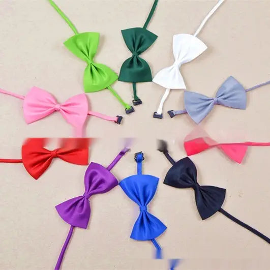Colección de collares para mascotas con lazos de color sólido ajustables, con acabado satinado e incluyendo varios tonos como verde, rosa, blanco, azul y morado.