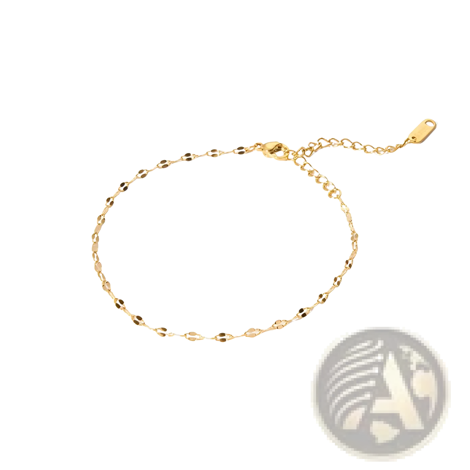 18k gold pvd plated stainless steel anklet with a delicate chain and small oval links featuring an adjustable clasp