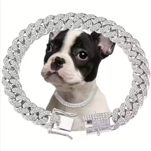 Un chiot de Boston Terrier noir et blanc portant un collier de chien ras du cou en diamants « Cuban link » de couleur argenté, en alliage, orné de strass, étincelant.
