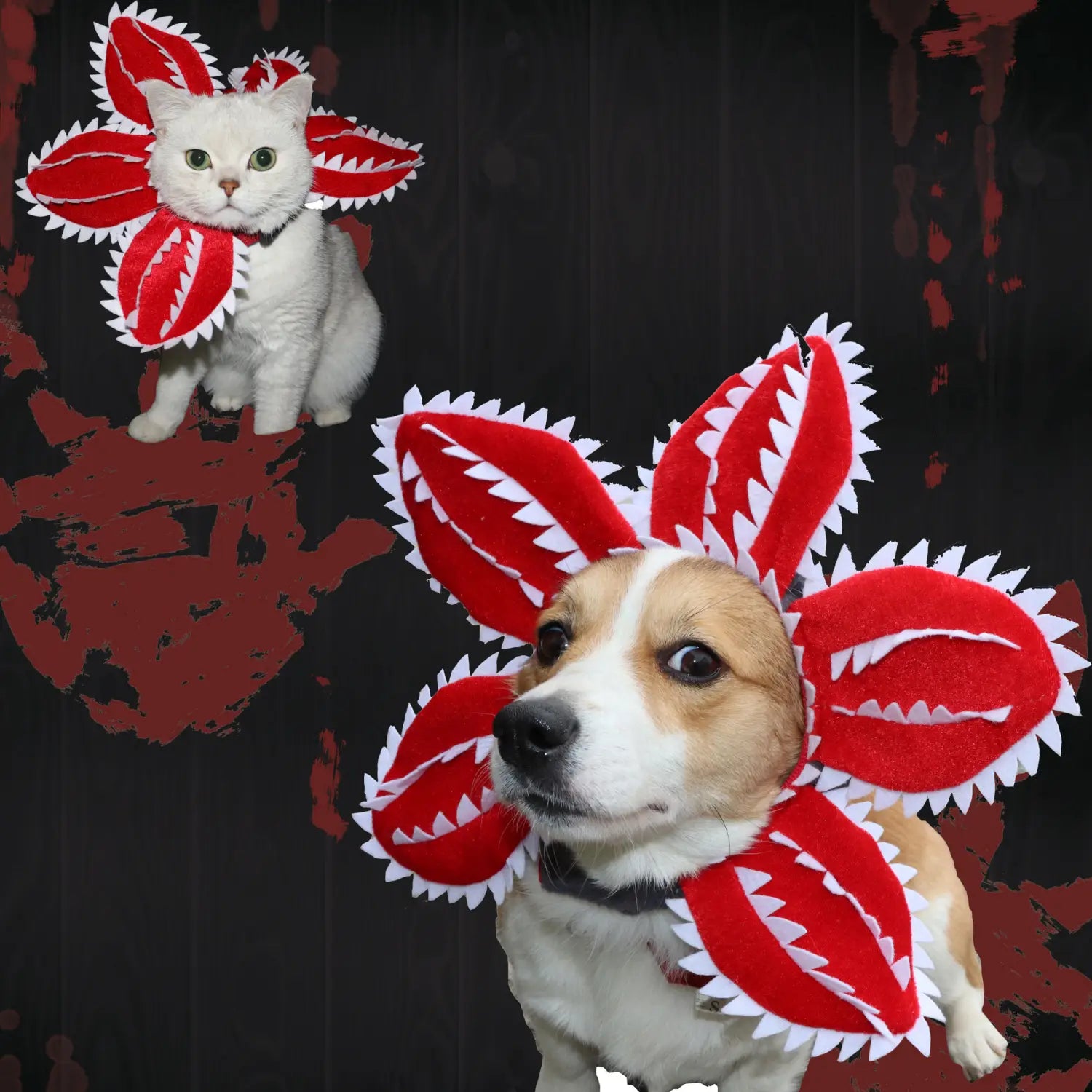 Red and white plush carnivorous flower dog hat with jagged teeth-like edges designed as a pet costume.