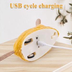 Interactive Cat Toy Mouse with Led and Chirping Sound