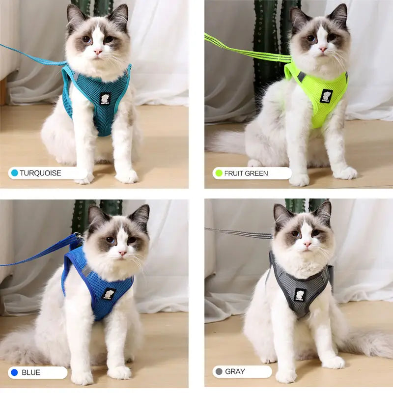 a cat harness mesh reflective anti strike pet walker in turquoise color made of breathable mesh material designed for safe outdoor walks