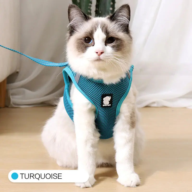 Turquoise mesh cat harness with adjustable straps and a small black logo patch designed for reflective anti-strike pet walking.
