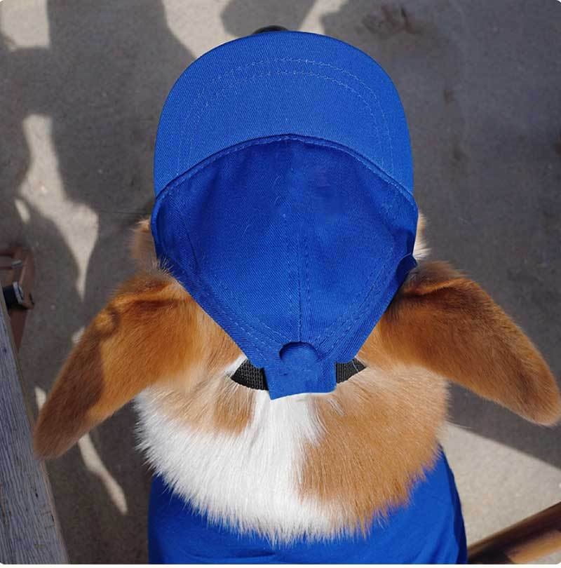 A vibrant royal blue adjustable sun proof pet hat with ear holes featuring a structured crown and stitched seams worn by a fluffy bunny.