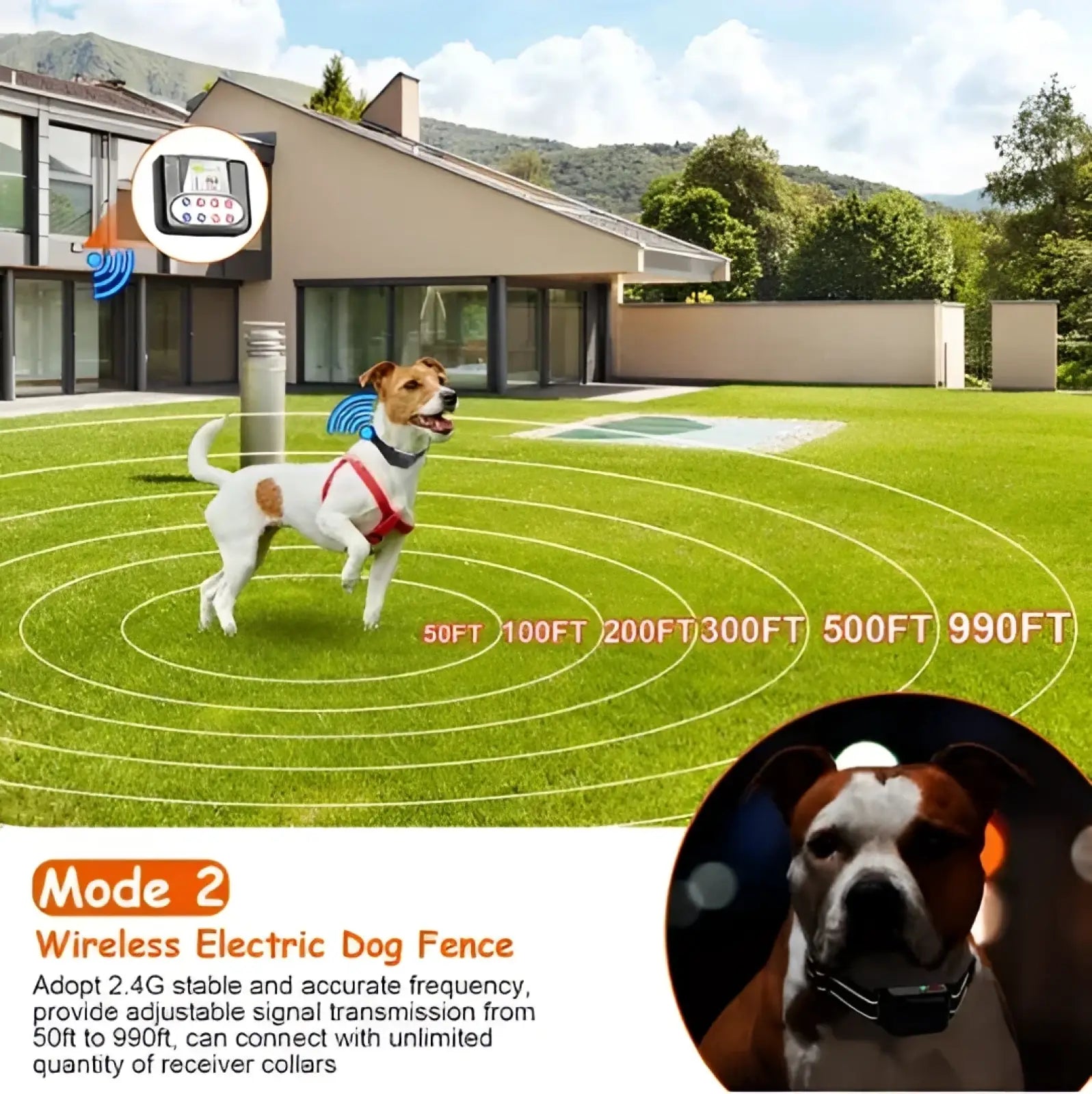 Wireless electric dog fence collar with adjustable range and 2.4g stable frequency for pet safety in black design