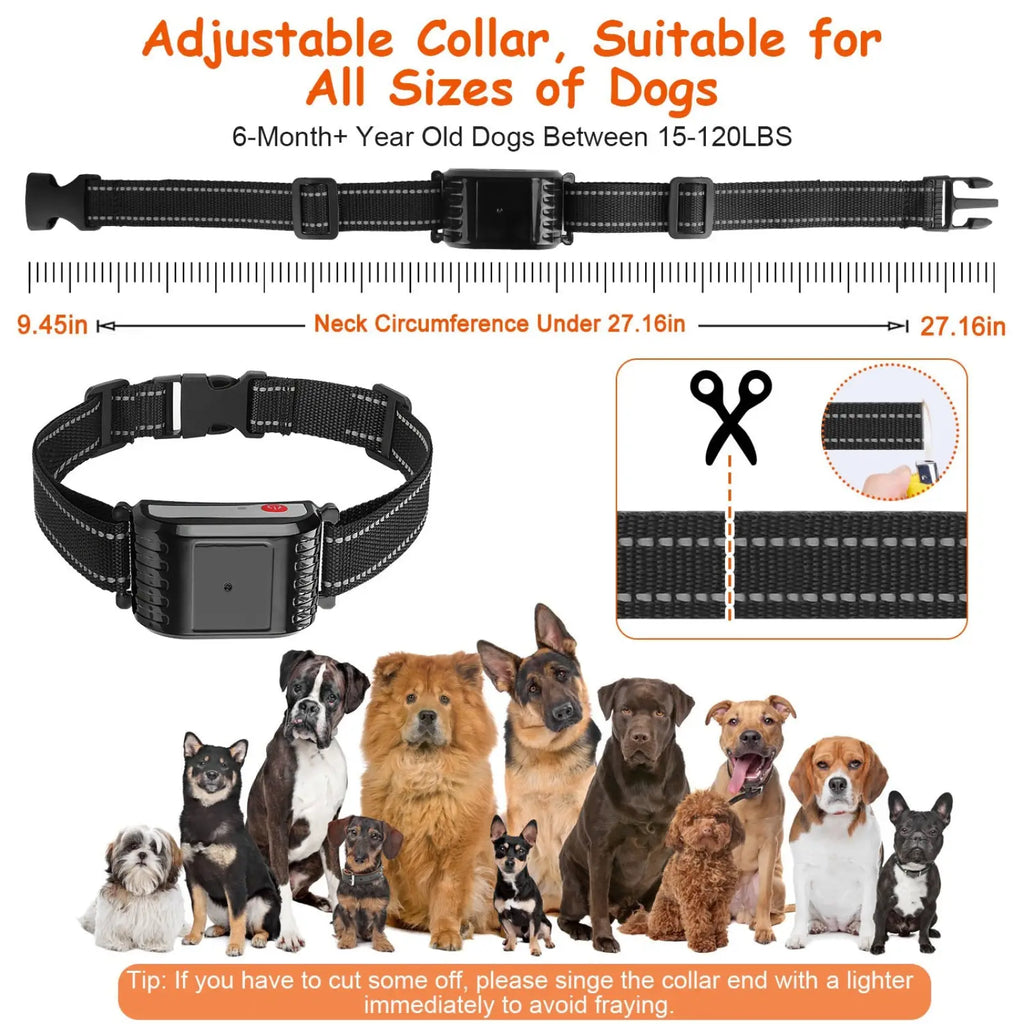 Black adjustable 2-in-1 wireless dog fence and remote training collar with sleek control unit and reinforced nylon strap
