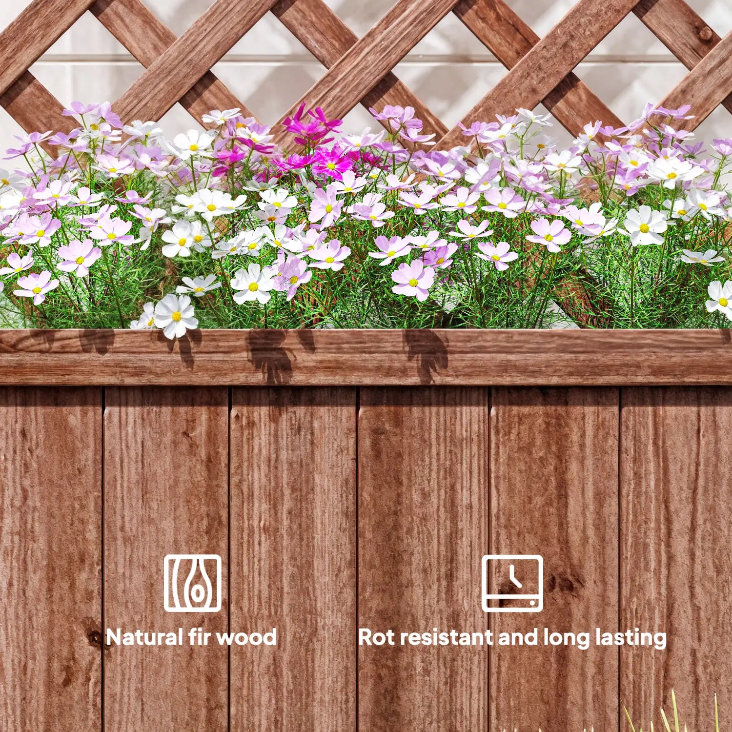 A wooden raised garden bed with lattice trellis planter box filled with vibrant pink and white cosmos flowers.