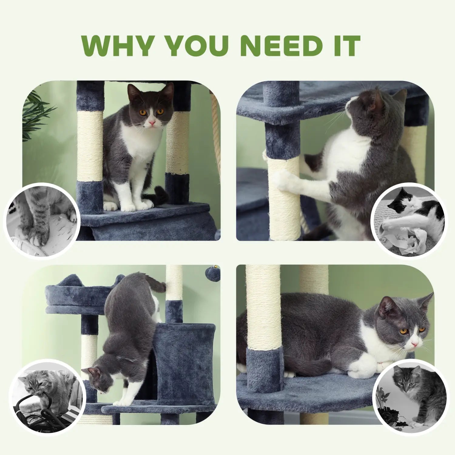 Gray 81 inch multi level tall cat tree with blue and beige platforms and sisal scratching posts for cats.