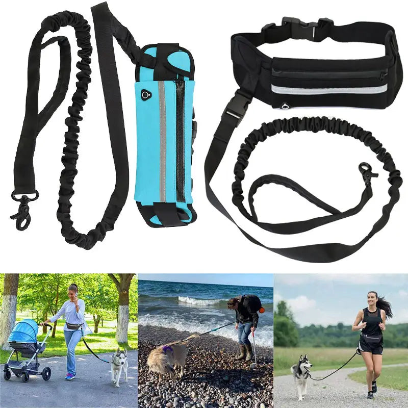 Correa elástica negra para el perro con correa ajustable y broche, combinada con una riñonera turquesa resistente al agua con franjas reflectantes, en el juego de cinturón para caminar al perro sin manos y correa.