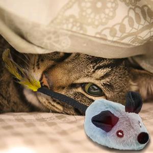 Interactive Cat Toy Mouse with Led and Chirping Sound
