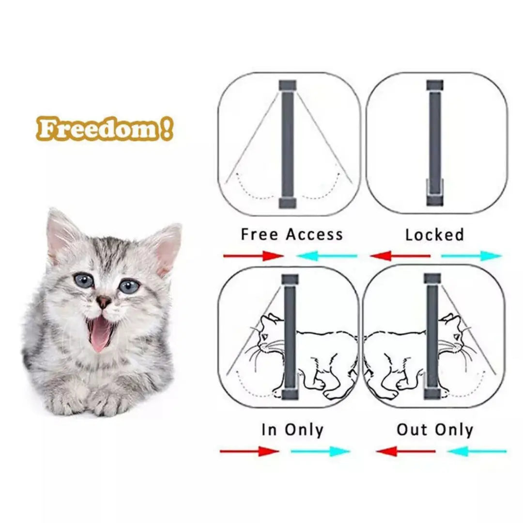 A fluffy silver tabby kitten with bright blue eyes next to an xl pet door with a 4 way locking magnetic dog cat flap in white.