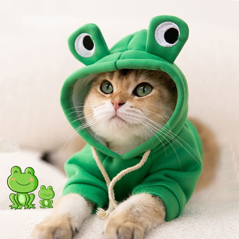A fluffy cat wearing a vibrant green plush dinosaur cat hoodie with embroidered eyes and white drawstrings in a pet costume.