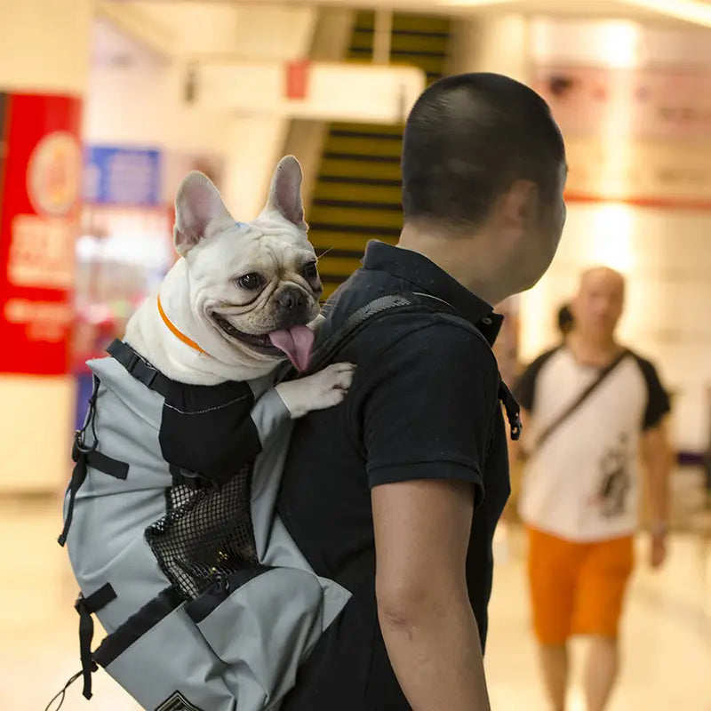 Breathable dog backpack mesh pet carrier in gray with black accents featuring adjustable straps and mesh side pockets displayed from the back side.
