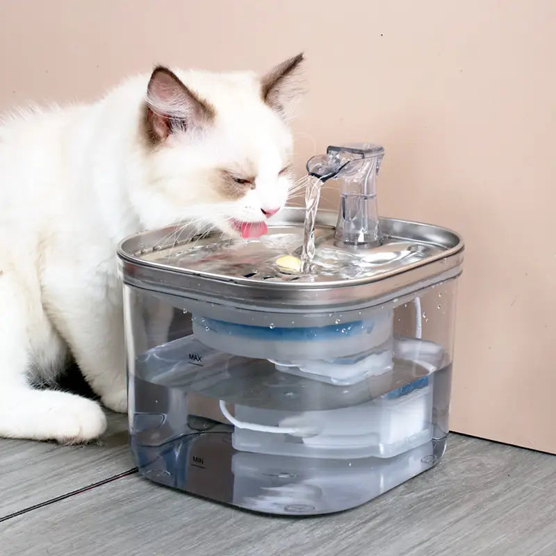 Fuente de agua para gatos automática con dispensador de mascotas, de acero inoxidable, con plástico transparente y acero inoxidable, con un chorro de agua en funcionamiento.
