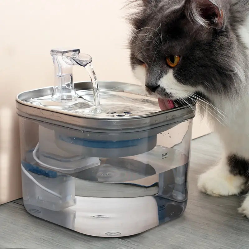 Fuente de agua para gatos automática con dispensador de mascotas, de acero inoxidable, con construcción de plástico transparente y acero inoxidable, que presenta un diseño moderno y elegante y un surtidor de flujo.