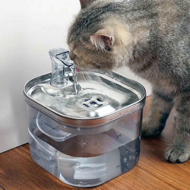 Fuente de agua para gatos de acero inoxidable con componentes de plástico transparente, que presenta un diseño moderno y elegante y funcionalidad de dispensador automático de mascotas.