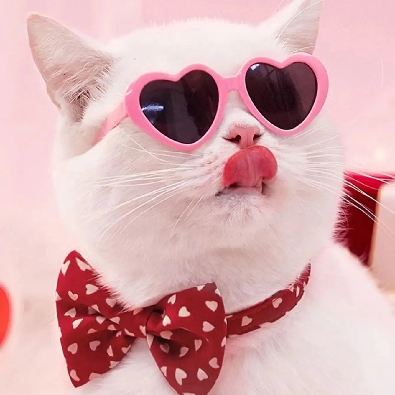 Un gato blanco que lleva gafas de sol de moda con forma de corazón para mascotas y muñecas, con lentes rosas y una pajarita roja con corazones blancos.